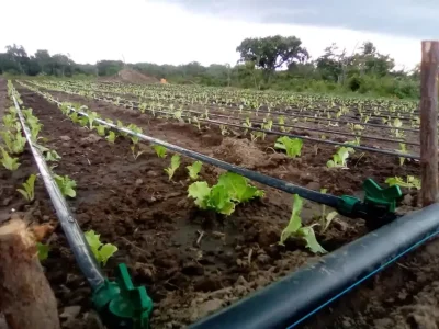 Agricultural Irrigation